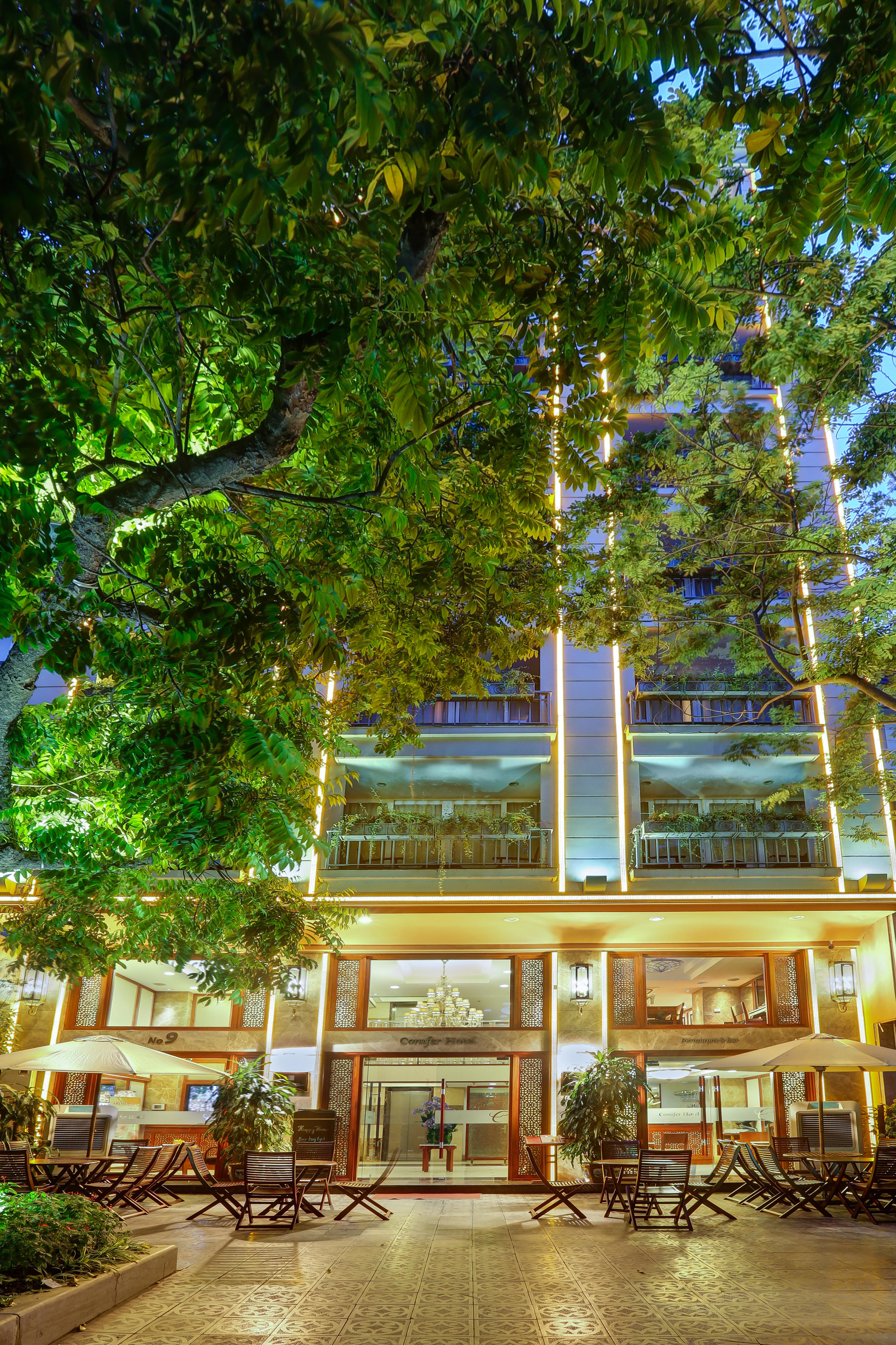 โคนิเฟอร์ บูทิก โฮเต็ล Hotel ฮานอย ภายนอก รูปภาพ
